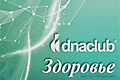 Российские бады