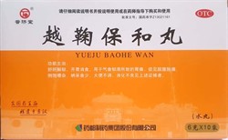 Юэ Цзюй Бао Хэ Вань  越鞠保和丸  Yue Ju Bao He Wan  10 пакетиков по 6 г - фото 6259