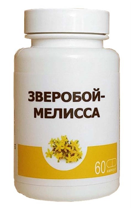 Зверобой-Мелисса  60 капсул - фото 6957