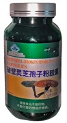 {{photo.Alt || photo.Description || 'Линчжи Ганодерма Рейши  灵芝  Ganoderma lucidum  60x0,3 г'}}