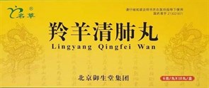 {{photo.Alt || photo.Description || 'Лин Ян Цин Фэй Вань  羚羊清肺丸  Ling Yang Qing Fei Wan  10 шаров'}}