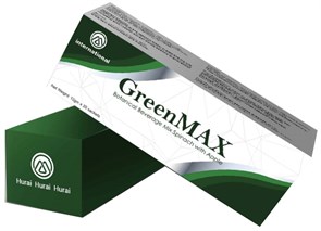 {{photo.Alt || photo.Description || 'GreenMax ГринМакс  20 пакетиков от запоров'}}