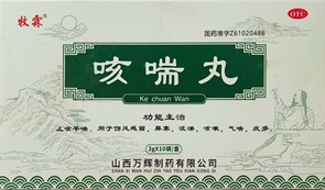{{photo.Alt || photo.Description || 'Кэ Чуань Вань  咳喘丸  Ke Chuan Wan  от кашля и астмы'}}